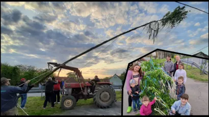 U Donjem Daruvaru postavljen majpan/ Foto: Če&scaron;ka beseda Donji Daruvar