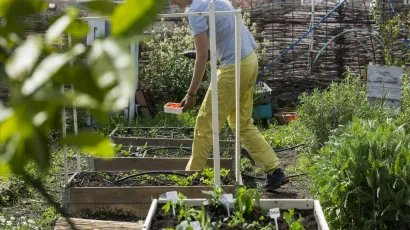 Osim &scaron;to je provalio u &scaron;upu i ukrao alat, lopov je 70-godi&scaron;njem vlasniku iskopao povrće iz vrta/<br>Foto: Berislava Picek/CROPIX (Ilustracija)