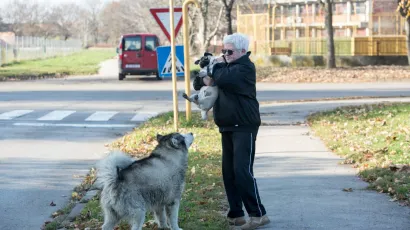 Žena je poku&scaron;ala spriječiti napad pa je i sama stradala/ Foto: Vlado Kos/Cropix (Ilustracija)