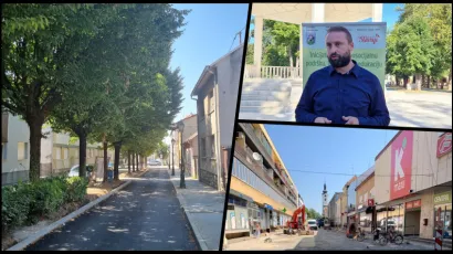 Obični grab prvi je izbor za drvored na bjelovrskom korzu/Foto: Igor Brajdić, Moj Portal