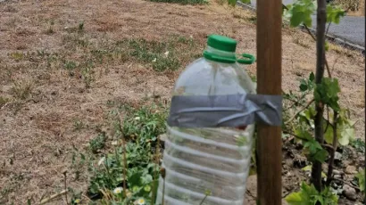 Bjelovarčani su pokazali domi&scaron;ljatost i tek posađenim stablima postavili sustav navodnjavanja/Foto: Igor Brajdić