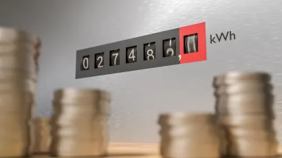 Procjenjuje se da kućanski uređaji tro&scaron;e do 20 posto ukupne električne energije potrebne kućanstvu/Foto: Getty Images/iStockphoto