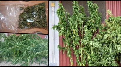 Ovo su policjaci prona&scaron;li kod 60-godi&scaron;njaka u Brestovcu/Foto: PU pože&scaron;ko-slavonska