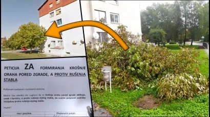 Stblo oraha na križanju ulica Petra Zrinskog i Frankopanske u Daruvaru je sru&scaron;eno/Foto: MojPortal.hr