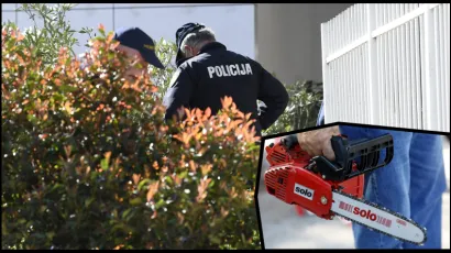 Foto: Tom Dubravec, Tea Cimas/Cropix (ilustracija)