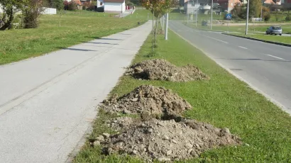 Foto: Pakrački list