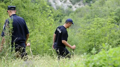 Foto: Niksa Stipanicev/CROPIX (ilustracija)