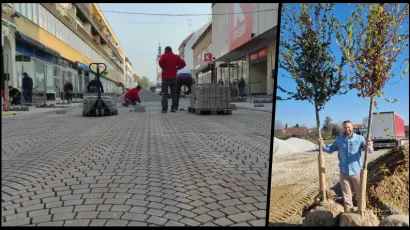 Stabla će se na korzu saditi idući tjedan/ Foto: Martina Čapo/Igor Brajdić