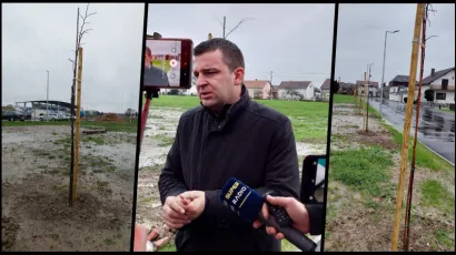 Grad Bjelovar ponovno sudjeluje u akciji Zasadi drvo, ne budi panj/ Foto: Grad Bjelovar
