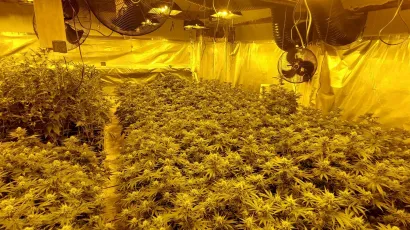 Evo &scaron;to je policija prona&scaron;la u kući u Batinjanima/Foto: PU bjelovarsko-bilogorska