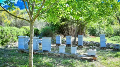 Foto: Tonci Plazibat/CROPIX (ilustracija)<br>