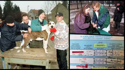 Foto: Horvat Majzek/CROPIX, I. Brezovec/CROPIX, Compas