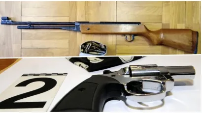 Foto: PU koprivničko-križevačka i Admir Buljubasic/CROPIX (ilustracije)