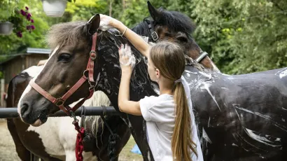 <br>Foto: Ivana Nobilo/CROPIX (Ilustracija)<br>