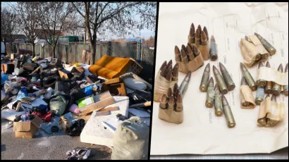 Foto: Srecko Niketic/CROPIX, Goran Mehkek/CROPIX (Ilustracija)