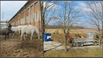 Radovi su vrijedni 19 milijuna kuna/ Foto: Compas.hr