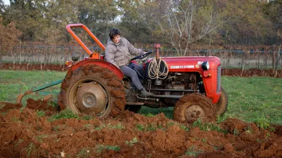 <br>Foto: Goran Sebelic/CROPIX (Ilustracija)     