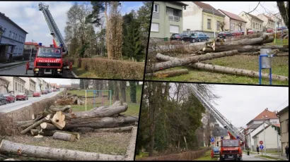 Poru&scaron;ena stabla u parku Antina Jankovića u Daruvaru/Foto: Mojportal.hr