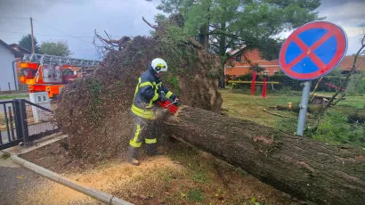 Pripadnici JVP Gare&scaron;nica uklanjaju sru&scaron;eno stablo u Bereku/Foto: JVP Gare&scaron;nica