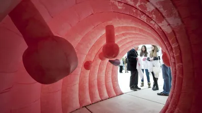 <br>Akcija Nacionalnog zavoda za javno zdravstvo za rano otkrivanje karcinoma/Foto: Josko Ponos/ CROPIX