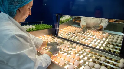 Foto: Željko Hajdinjak/CROPIX