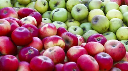 <br>Foto: Zeljko Puhovski/CROPIX (Ilustracija)