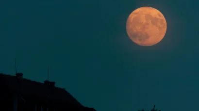 Iz Grada pozivaju sve da se priključe akciji/ Foto: Tomislav Kristo/CROPIX