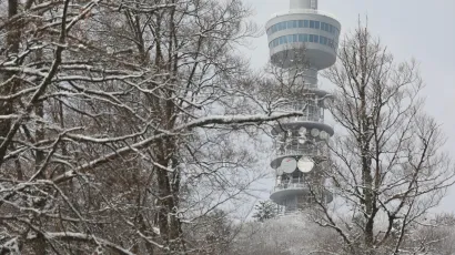 Foto: Ranko &Scaron;uvar/CROPIX (ilustracija)<br>