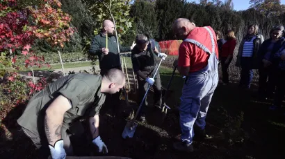 Foto: Boris Kovačev/CROPIX (ilustracija)