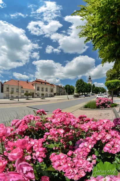 Foto: Predrag Uskoković/Daruvarski portfolio
