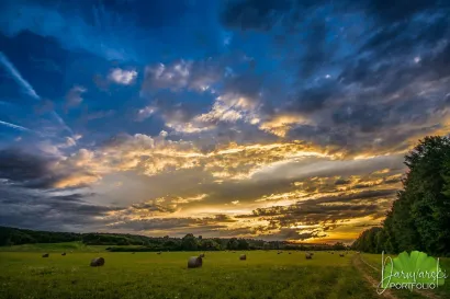 Suton na poljima/Foto: Predrag Uskoković/Daruvarski portfolio