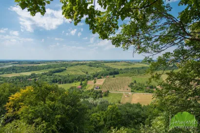 Sjedi, gledaj i uživaj.../Foto: Predrag Uskoković/Daruvarski portfolio