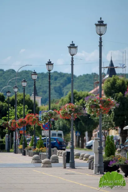 Foto: Predrag Uskoković/Daruvarski portfolio