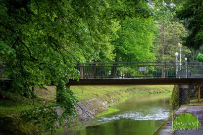 Toplica/Foto: Predrag Uskoković/Daruvarski portfolio