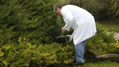 <br>Foto: Damjan Tadic/CROPIX (Ilustracija)