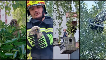 Foto: Katarina Ivana Pavičić/Pakrački list