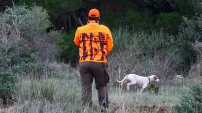 <br>Foto: Goran Sebelic/CROPIX (Ilustracija)