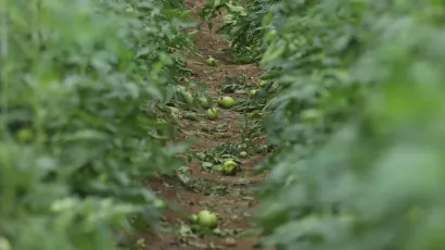 Foto: Željko Hajdinjak/CROPIX (ilustracija)