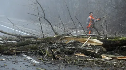 Foto: Željko Hajdinjak/Cropix (ilustracija)