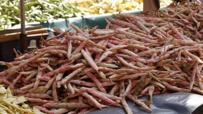 <br>Foto: Biljana Gaurina/CROPIX (Ilustracija)<br><br><br><br><br><br><br><br><br><br><br><br><br><br><br><br><br><br><br>