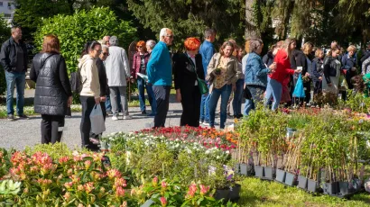 Foto: Predrag Uskoković/Grad Daruvar