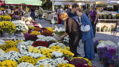 <br>Foto: Vladimir Dugandzic/CROPIX