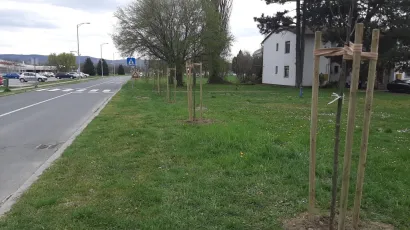 Foto: Pakrački list