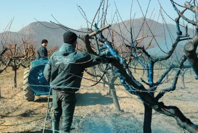 <br>Foto: Denis Jerkovic/Cropix (Ilustracija)<br>