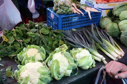 <br>Foto: Davor Pongracic/CROPIX (Ilustracija)<br> <br>