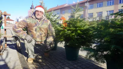 Borovi se prodaju malo slabije/ Foto: Tomislav Kukec/MojPortal