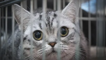 <br>Foto: Ivana Grgic/CROPIX (Ilustracija)