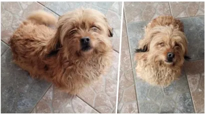 Foto: Snimila čitateljica