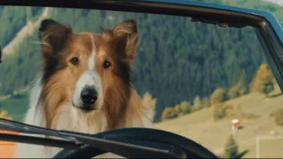 Stiže novi nastavak filma o najpoznatijem ovčaru na svijetu/ Foto: POU Daruvar