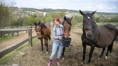 Tamara Rebic i konj Amor/Foto: Zeljko Hajdinjak/CROPIX<br><br><br><br><br><br><br><br><br><br><br><br><br><br><br><br><br><br><br><br><br><br><br><br><br><br><br>Cakovec 230421.<br><br><br><br><br><br><br><br><br><br><br><br><br><br><br><br><br><br><br><br><br><br><br><br><br><br><br><br>Prica za Jutarnji, ekipa iz cakovecke Gimnazije koja je u konkurenciji za Digi Award.<br><br><br><br><br><br><br><br><br><br><br><br><br><br><br><br><br><br><br><br><br><br><br><br><br><br><br><br>Na fotografiji: Mentori Nikola Friscic i Nina Mikolaj Varga, ucenici Karlo Kolac (s naocalama) i Dorijan Mikulan.<br><br><br><br><br><br><br><br><br><br><br><br><br><br><br><br><br><br><br><br><br><br><br><br><br><br><br><br>Foto: Zeljko Hajdinjak/CROPIX